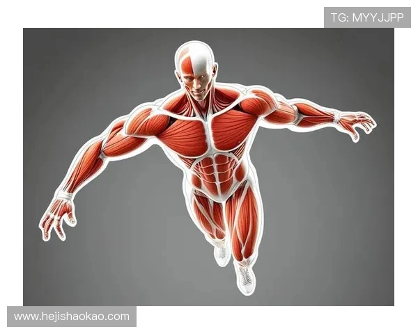 篮球的进化与未来:技术革新、战术变革与全球化影响解析 篮球的进化与未来:技术革新、战术变革与全球化影响解析