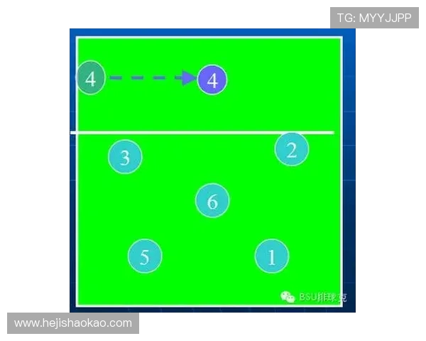南京排球队的战术革新与球员转型深度解析