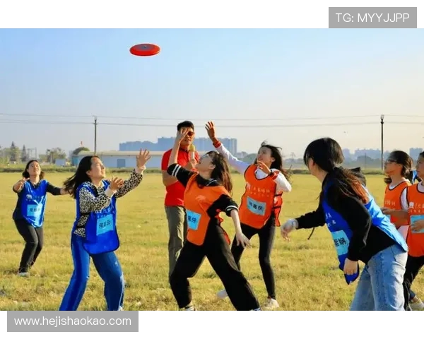 飞盘精神：深入解析南京飞盘队员的心理素质与团队协作能力