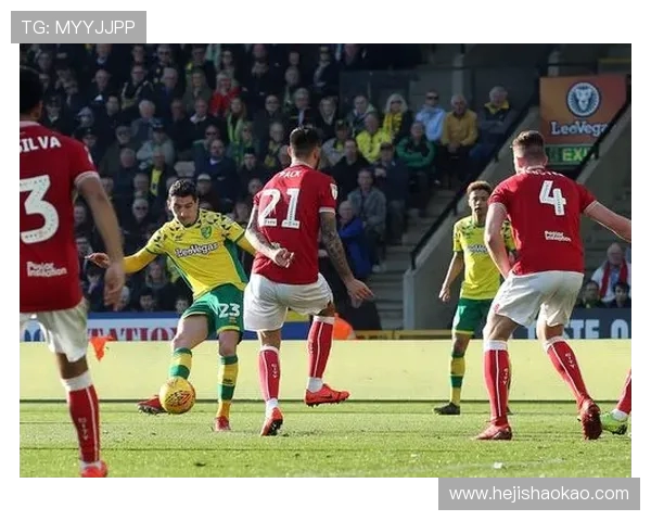 巴西对阵美国精彩赛事在线直播全程回顾与分析