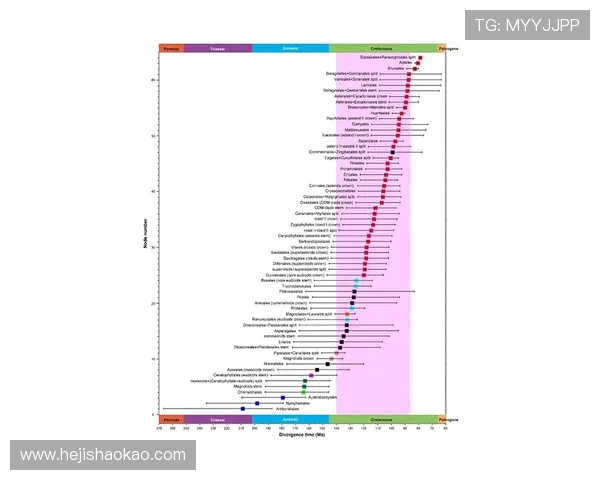 布星与比尔森的历史交锋与发展演变全景分析